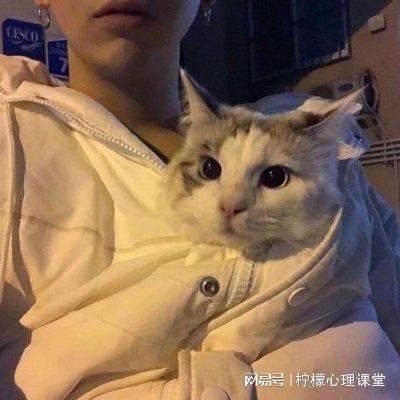 农银人寿开展“睛彩领路人·中轴无碍行”青年志愿服务活动